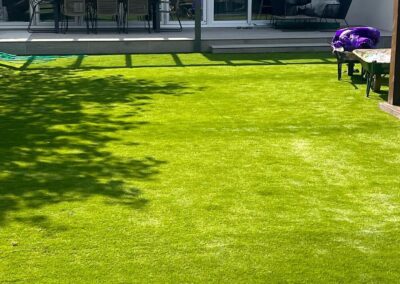 artificial lawn